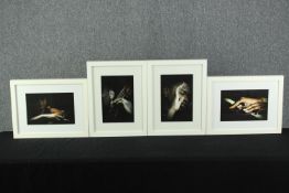 Four South African Jazz photographs. Unsigned. Framed and glazed. Each measuring H.44 x W.34 cm.
