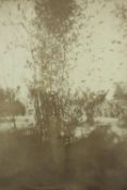 Print. Signed indistinctly by the artist. H.77 x W.65 cm.