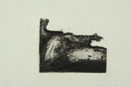 Etching titled 'Capricorn'. Signed indistinctly by the artist and numbered 29/30. Framed and glazed.