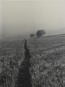 Jane E. Clark. Photograph. Landscape. Framed and glazed. W.45 x H.32 x W.25 cm.