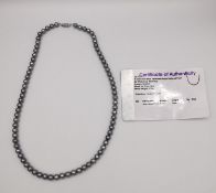 A Grey-blue knotted Japanese Akoya cultured pearl necklace with white gold 10ct clasp. The