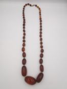 A vintage large knotted graduated amber bead necklace with brass hook and push clasp. L.70cm
