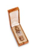 A LATE 19TH CENTURY SILVER AND GLASS PERFUME BOTTLE IN CASE