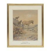 THOMAS ROWDEN (BRITISH, 1842-1926): A WATERCOLOUR OF DARTMOOR PONIES