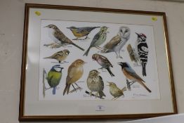 A FRAMED AND GLAZED WATERCOLOUR STUDY OF BRITISH BIRDS SIGNED LOWER RIGHT BRIAN DAWSON