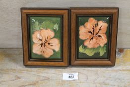 TWO FRAMED GREEN MOORCROFT HIBISCUS TRINKET LIDS