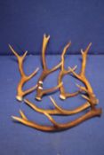 THREE SETS OF ANTLERS