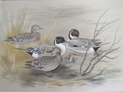 Penkridge Auction Rooms Antique & Interiors Online  Auction