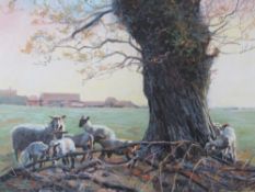 STEVENSON. Sheep and lambs resting by a tree, farm buildings in background, signed and dated 1987