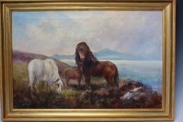 WILTON MOTLEY (XIX-XX). Horses in a highland setting, signed lower right, oil on canvas, framed,