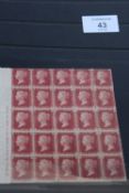 S.G. 44 1d RED, plate 214, a block of 25 (5 x 5), mint with marginal inscription, fine piece