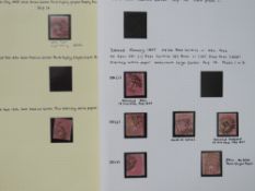 S.G. 62/6 4d CARMINE ROSE x 8, well written up in two albums