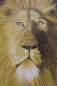 A MODERN UNFRAMED OIL ON CANVAS HEAD PORTRAIT OF A LION SIGNED JULIE WILKES LOWER RIGHT