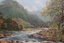 AN OIL ON BOARD OF A RIVER SCENE SIGNED J CASSELL HUTCHINSON