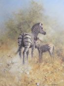 A COLLECTION OF FIVE MOUNTED SIGNED LIMITED EDITION DAVID SHEPHERD WILDLIFE PRINTS, TO INCLUDE '
