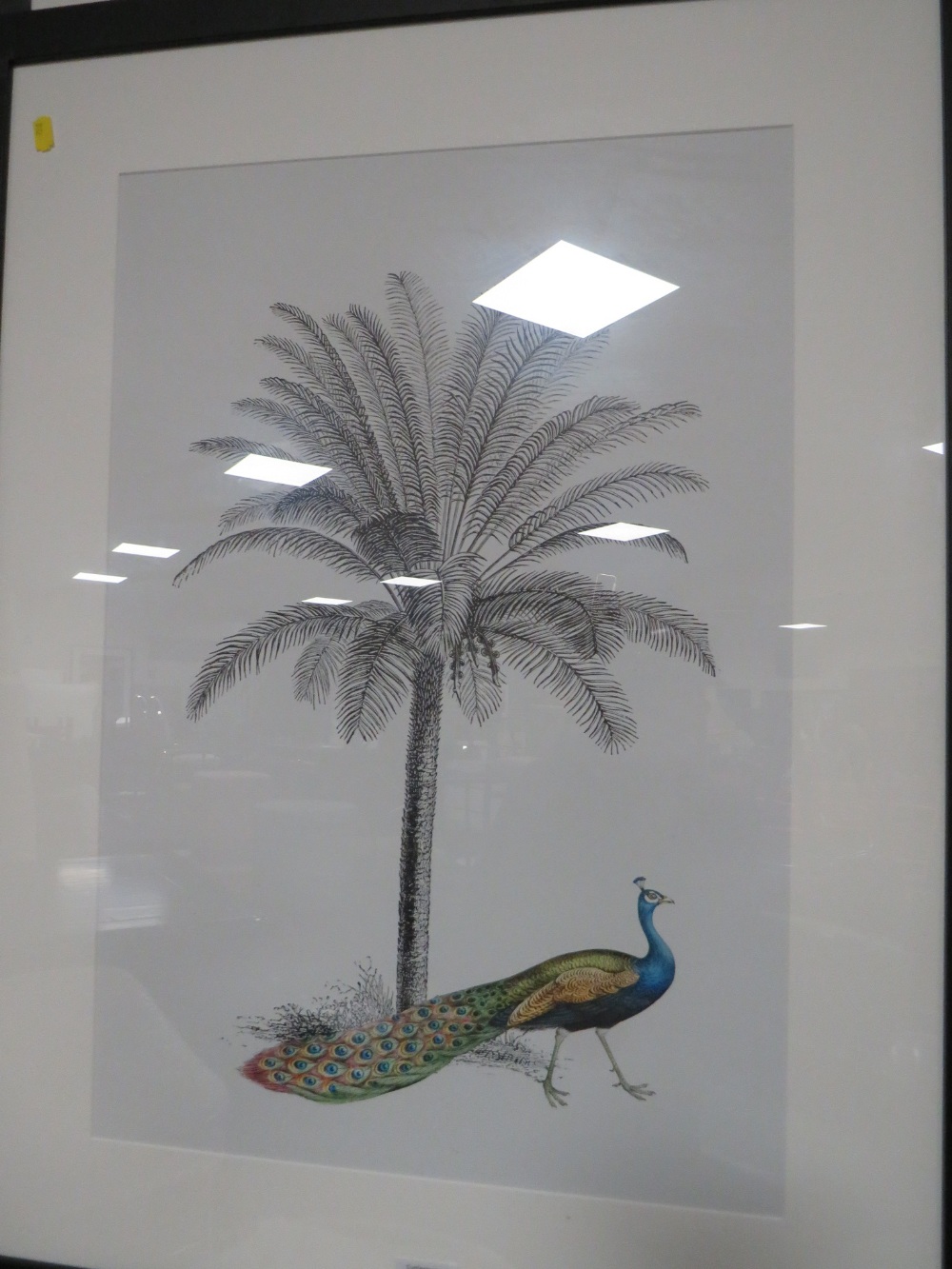 A MODERN FRAMED PEACOCK PICTURE WITH THREE FURTHER PEACOCK PICTURES (4) - Image 5 of 5