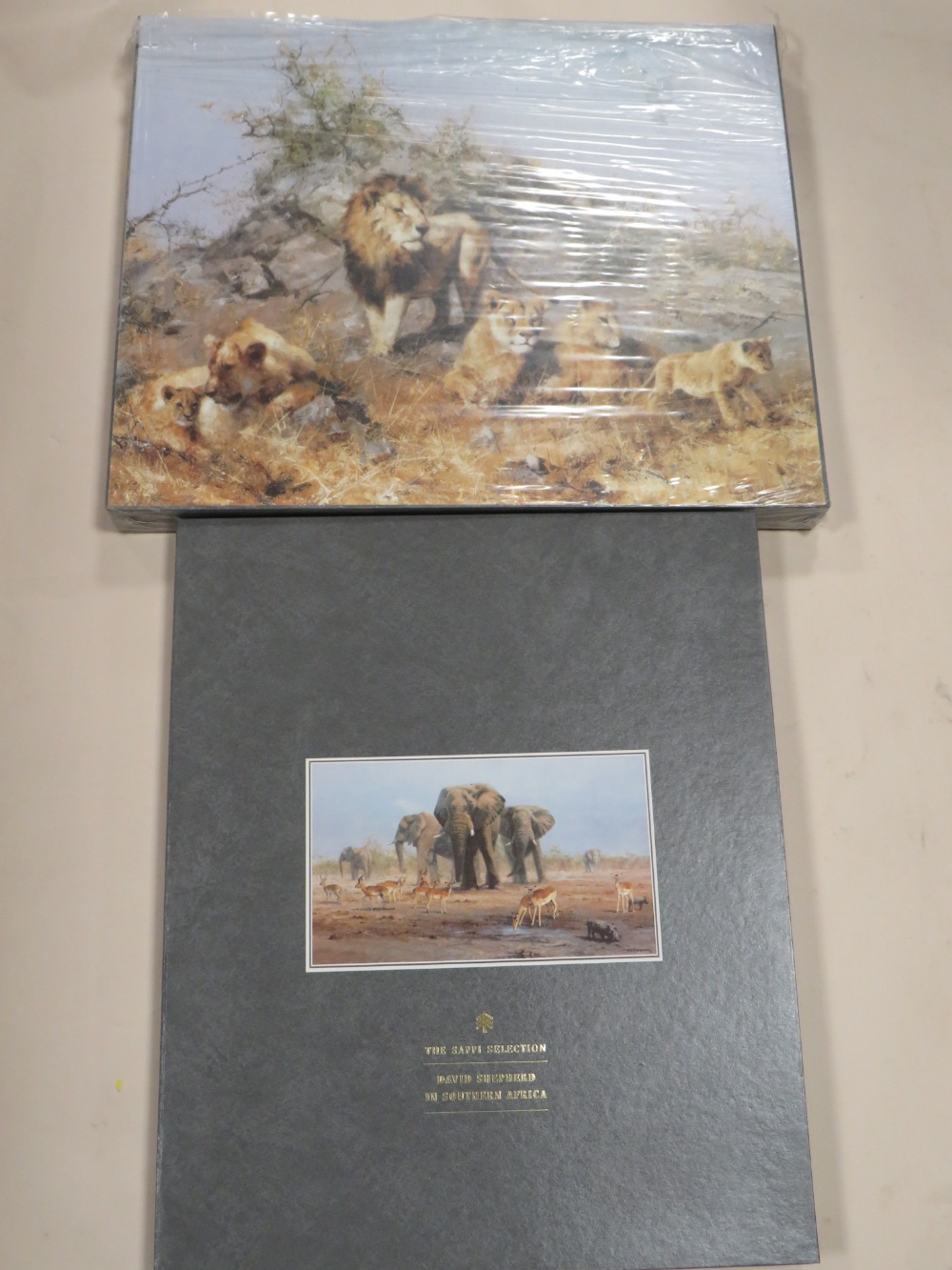 A BOXED DAVID SHEPHERD IN SOUTHERN AFRICA 'THE SAPPI SELECTION' OF SIGNED LIMITED EDITION PRINTS 160 - Image 2 of 7