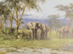 A COLLECTION OF SIGNED LIMITED EDITION DAVID SHEPHERD PRINTS, TO INCLUDE 'STORM OVER AMBOSELI'