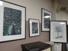 A MODERN FRAMED PEACOCK PICTURE WITH THREE FURTHER PEACOCK PICTURES (4)