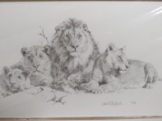 A COLLECTION OF MOUNTED DAVID SHEPHERD SIGNED LIMITED EDITION PENCIL DRAWING PRINTS, VARIOUS EDITION
