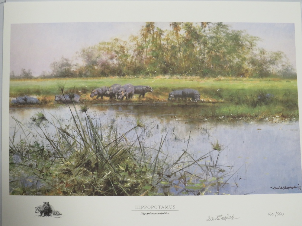A BOXED DAVID SHEPHERD IN SOUTHERN AFRICA 'THE SAPPI SELECTION' OF SIGNED LIMITED EDITION PRINTS 160 - Image 6 of 7