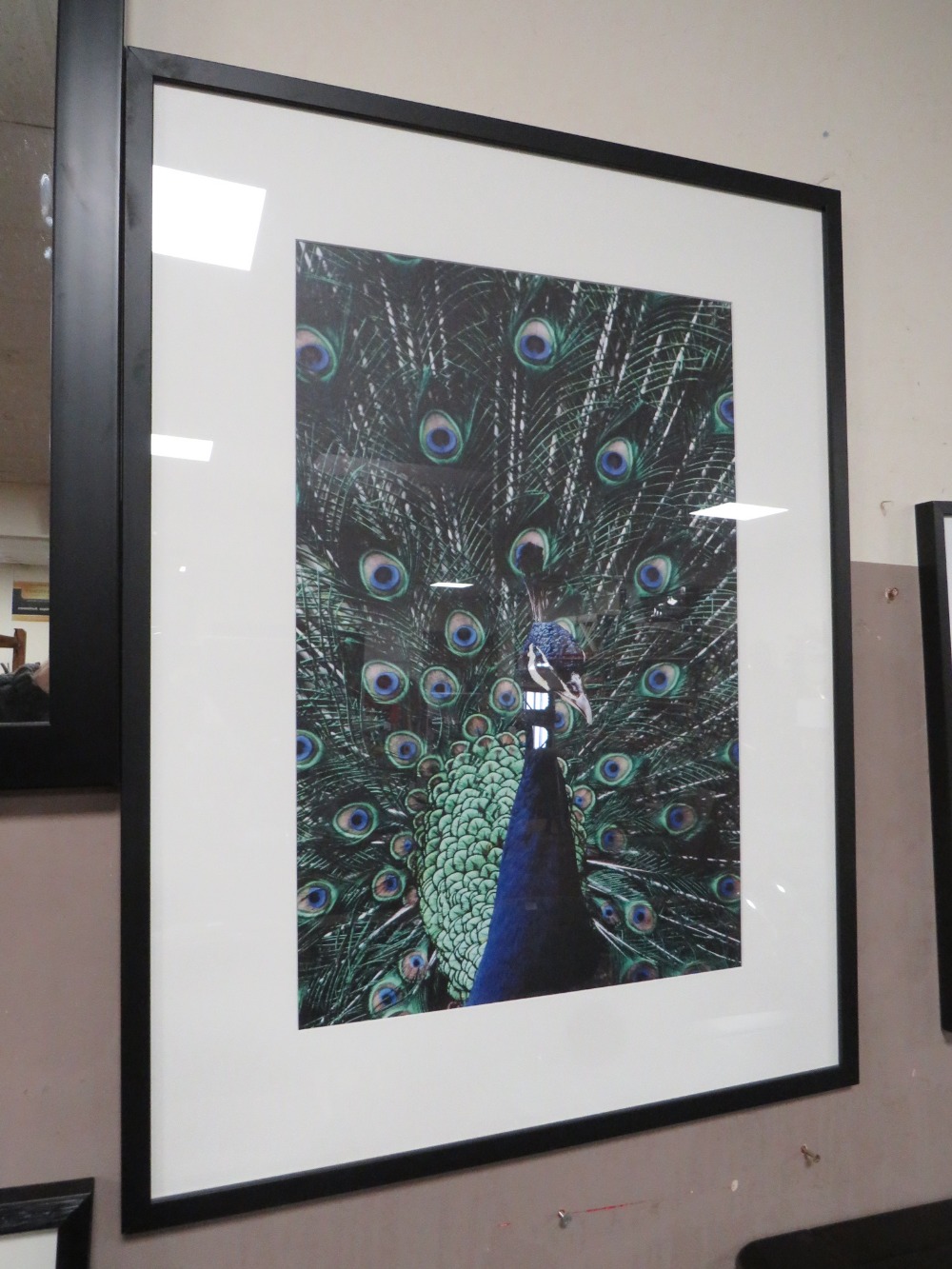 A MODERN FRAMED PEACOCK PICTURE WITH THREE FURTHER PEACOCK PICTURES (4) - Image 2 of 5