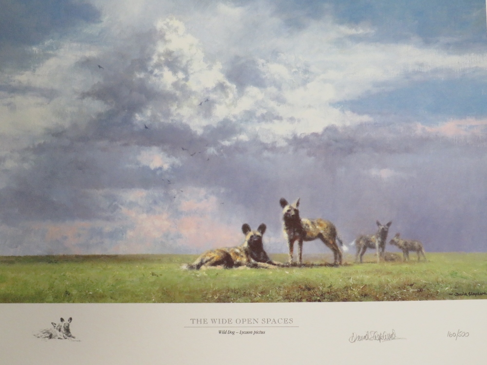 A BOXED DAVID SHEPHERD IN SOUTHERN AFRICA 'THE SAPPI SELECTION' OF SIGNED LIMITED EDITION PRINTS 160 - Image 5 of 7
