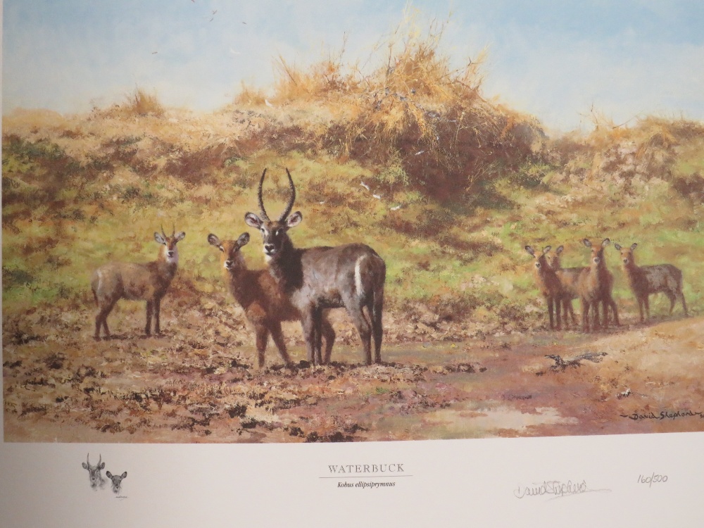A BOXED DAVID SHEPHERD IN SOUTHERN AFRICA 'THE SAPPI SELECTION' OF SIGNED LIMITED EDITION PRINTS 160 - Image 7 of 7