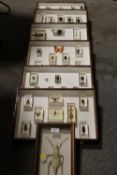 SEVEN FRAMED SETS OF INSECTS AND BUGS