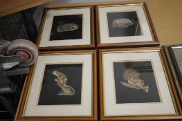 FOUR FRAMED WILDLIFE PRINTS