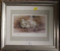 A SIGNED LIMITED EDITION MICK CAWSTON PRINT OF THREE OWL CHICKS