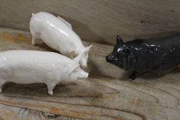 TWO BESWICK PIGS TOGETHER WITH A ROYAL DOULTON PIG (3)