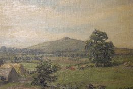 A PAIR OF VINTAGE GILT FRAMED OIL ON BOARD MOUNTAINOUS WELSH SCENES INCLUDING GOP, NEAR NEWMARKET