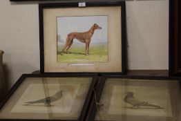 TWO VINTAGE FRAMED AND GLAZED PIGEON PHOTOGRAPHS TOGETHER WITH A FRAMED PRINT OF A GREYHOUND (3)