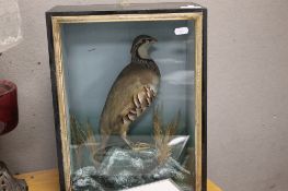 A TAXIDERMY GROUSE IN A GLAZED CASE PRESENTED BY C LLOYD KNIGHTON