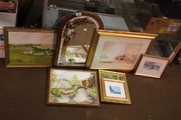 NINE FRAMED PICTURES TOGETHER WITH A PICTURE MIRROR