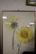 A FRAMED AND GLAZED WATERCOLOUR DEPICTING A SUNFLOWER