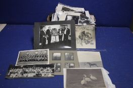 A BOX OF ASSORTED PHOTOGRAPHS, to include military type examples