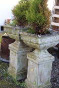 A PAIR OF STONE GARDEN URNS ON PLINTHS WITH CONIFERS
