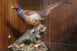 A COUNTRY ARTISTS 'AUTUMN SPLENDOR' LIMITED EDITION MODEL OF A PHEASANT