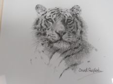 A SMALL FRAMED SIGNED DAVID SHEPHERD TIGER PRINT WITH ASSOCIATED PAPERWORK (IN CABINET)