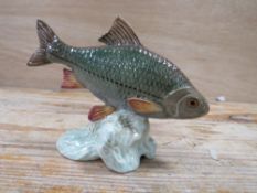 A BESWICK ROACH - 1874