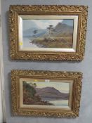 A PAIR OF OIL ON BOARDS DEPICTING MOUNTAINOUS SCENES IN GILT FRAMES
