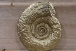 A LARGE DECORATIVE WALL HANGING OF A FOSSIL