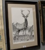 A WOOD FRAMED AND GLAZED SIGNED LIMITED EDITION PRINT OF A STAG BY BRIAN MOORE ENTITLED 'DOMAIN'