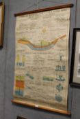 A VINTAGE HANGING HYGIENE AND SANITATION CHART