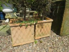 A PAIR OF TERRACOTTA SQUARE LATTICE PLANTERS WITH CONIFERS (2)