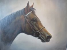 F.L. GEERE. - A study of horse, signed lower right and dated '83, oil on canvas, framed, 40 x 50 cm