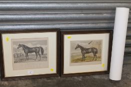 TWO SMALL FRAMED AND GLAZED EQUINE STUDY ENGRAVINGS OF HORSES TOGETHER WITH A HORSE RACING PRINT (