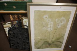 TWO MIRRORS A FIRE GUARD AND A PRINT